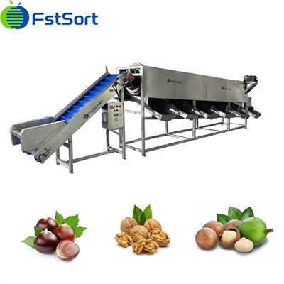 Täiustatud kastanipuhastuskuivatussorter